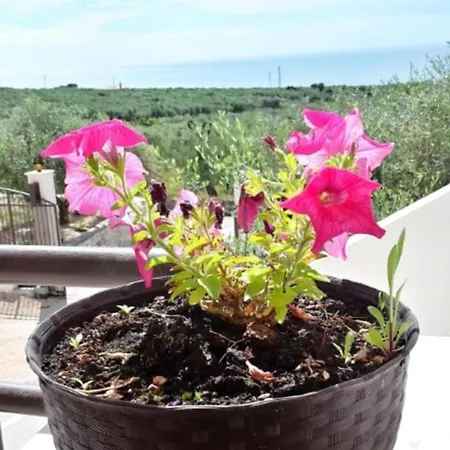Villa Eco Charming Puglia Simone *