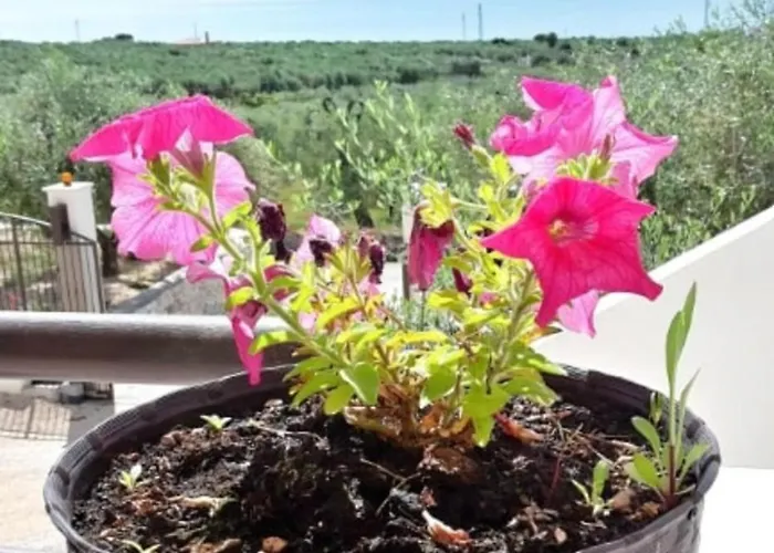 Villa Eco Charming Puglia Simone *